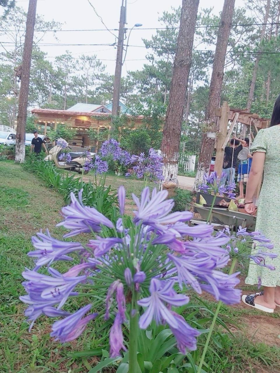 S'Nghe Homestay Mang Den Kon Von Kla Екстериор снимка